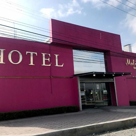 Malinalli Express Аписако Экстерьер фото